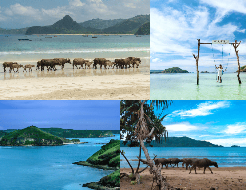 paket tour lombok 3 hari 2 malam