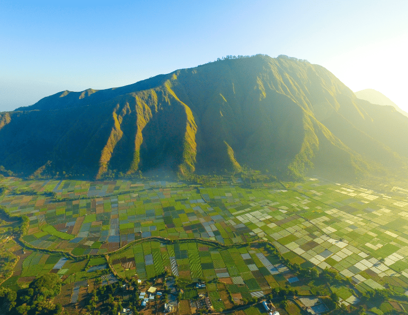 Kawasan Sembalun kaki Gunung Rinjani